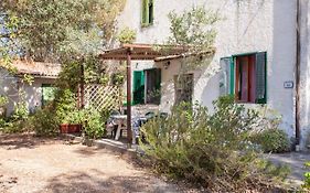 Casa L'Antica Oliveta